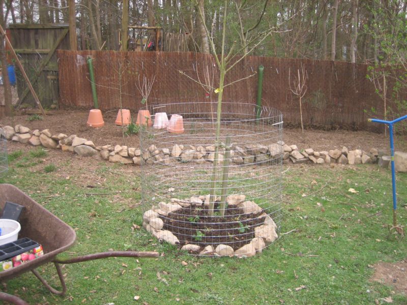 Garten 04 003.jpg