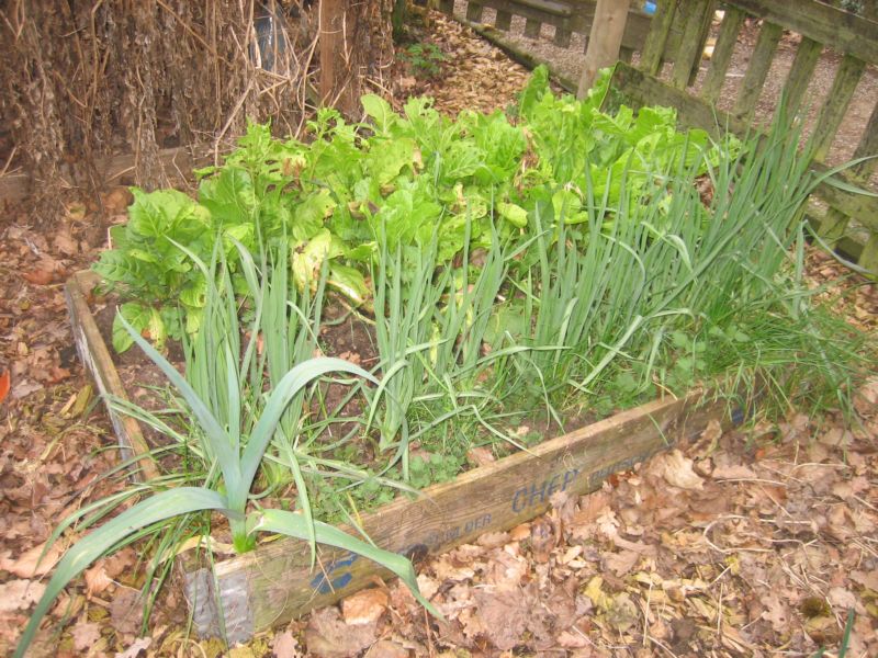 Garten 04 004.jpg