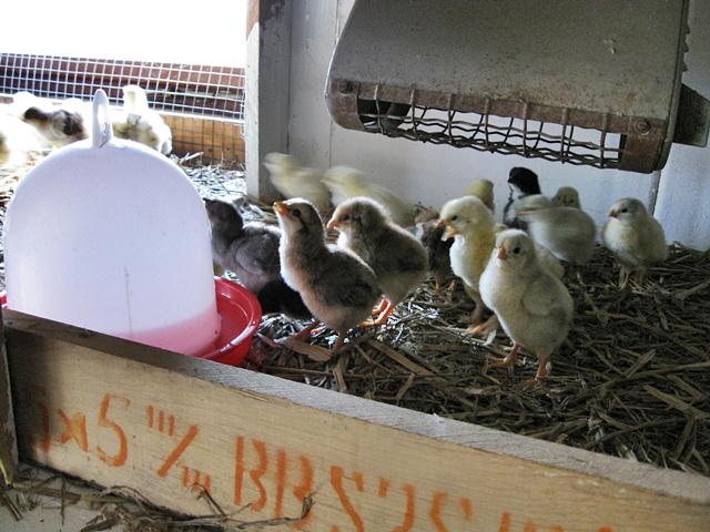 20110414_1.jpg