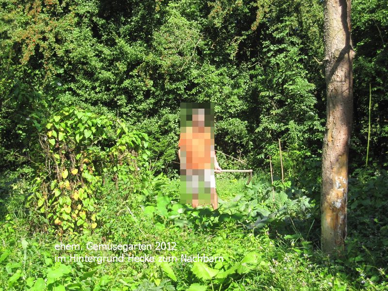 garden.JPG