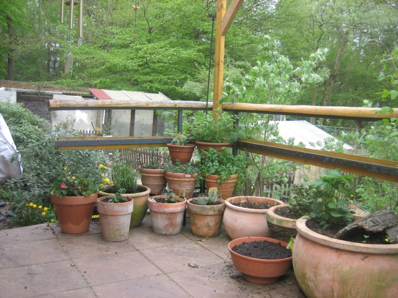 Frühjahr 001.jpg