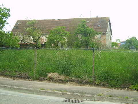 hof1.jpg