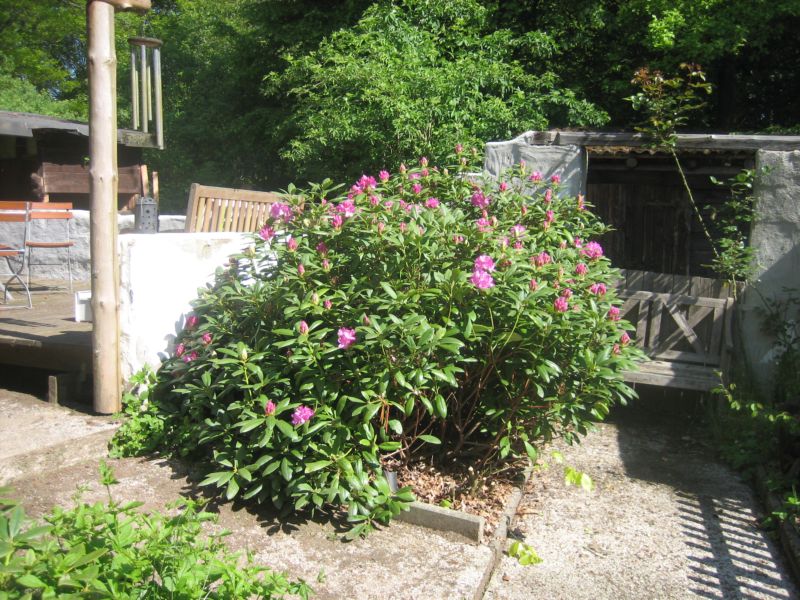 Mai2014 009.jpg