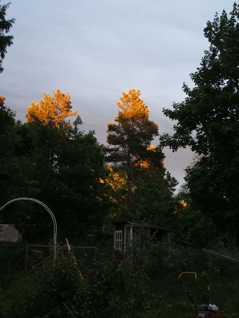 k-licht.jpg