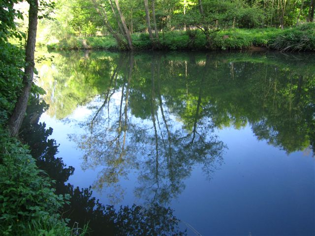 IMG_6834.JPG