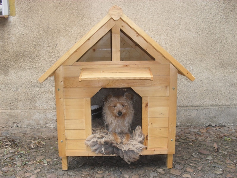 wilmas neues eigenheim.jpg