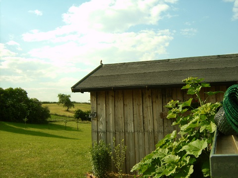 IMG00009.JPG
