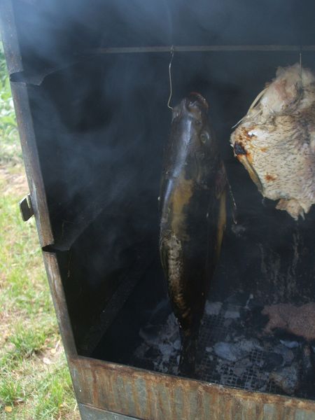 k-fische2.jpg