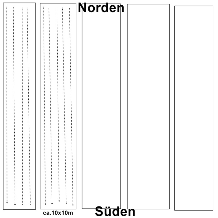 Komplette Fläche ca. 10x10m also ca. 7 Beete mit Weg