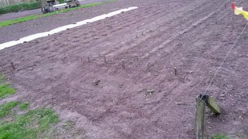 Garten Rechts