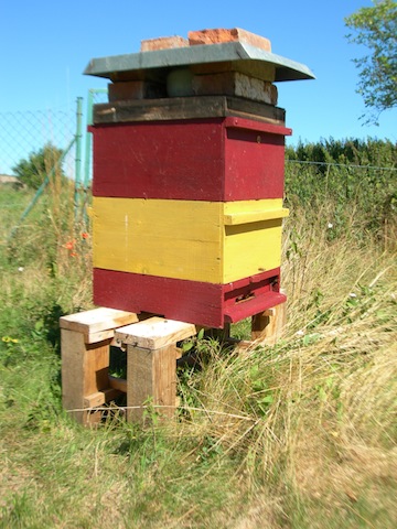 Bienen-Einzug
