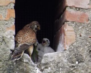 DSCF1490.jpg