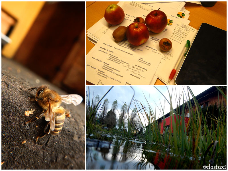 Impressionen