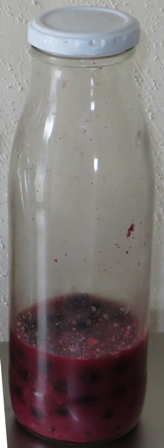 Aronia fermentiert