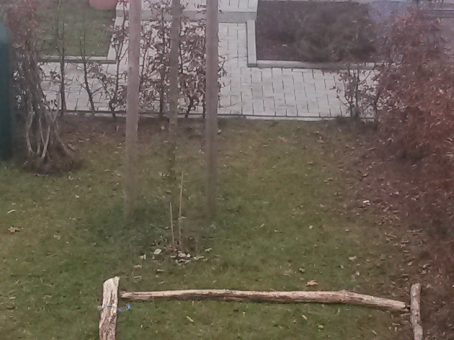 20170201_155739.jpg