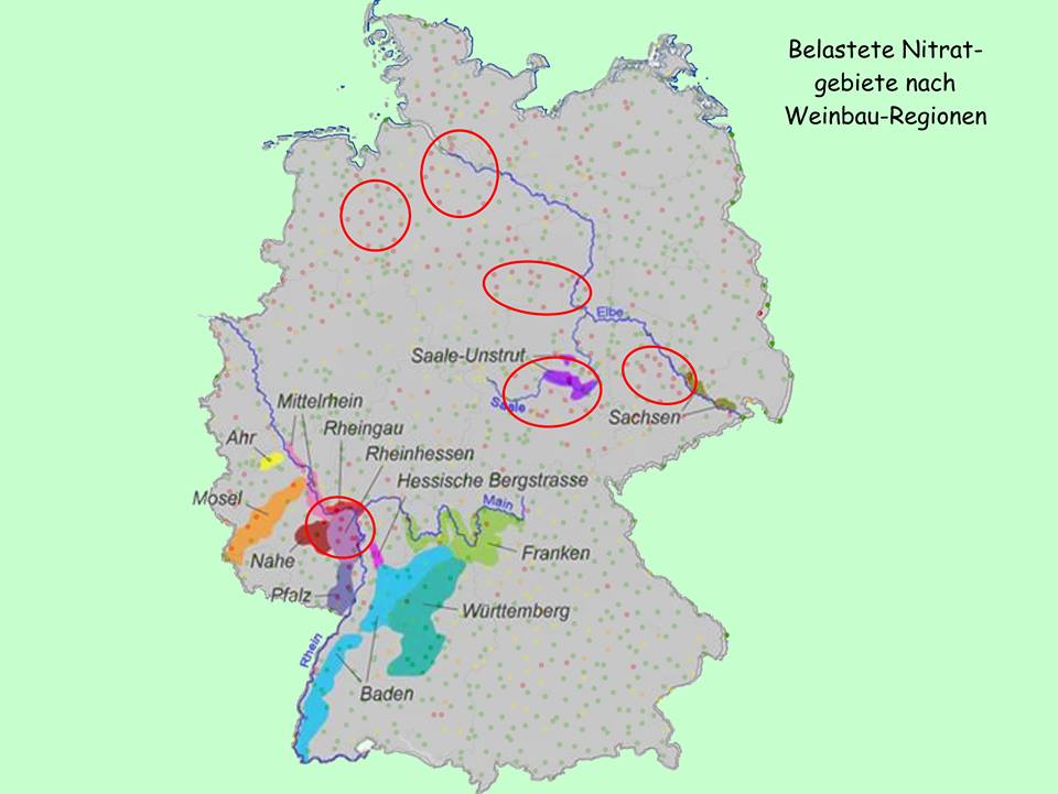 Nitratbericht_2016_5_Weinbau.jpg