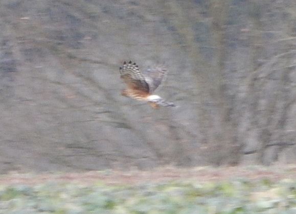 DSCN3060.jpg