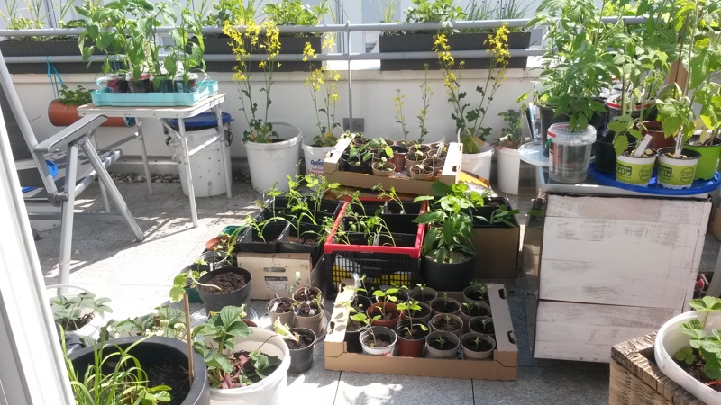 20170430_145212.jpg