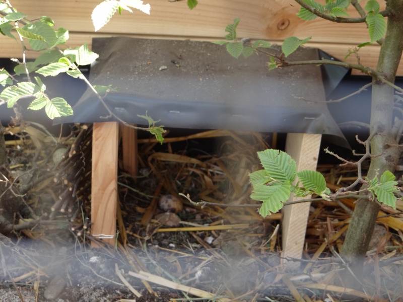 Neues Nest für die Wachteln