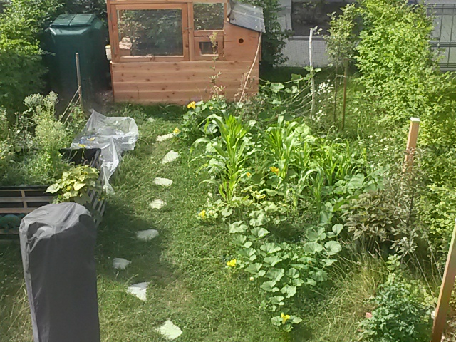 20170711_102520.jpg