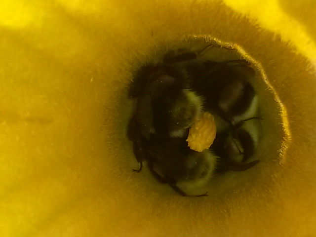 20170713_142344.jpg