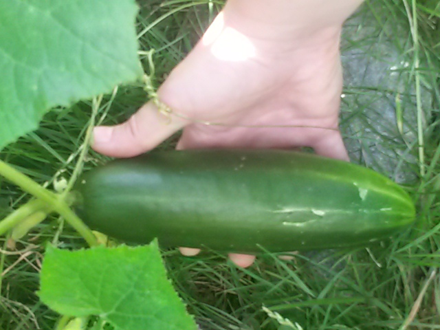 20170713_142538.jpg