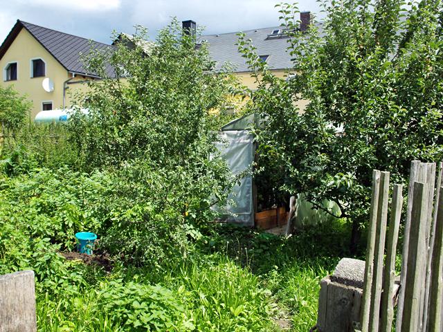 Blick in den bisherigen Hühnergarten zu den Obstbäumen und Gewächshaus