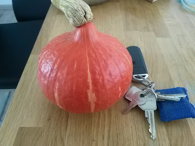 Kürbis mit Schlüssel als größenvergleich