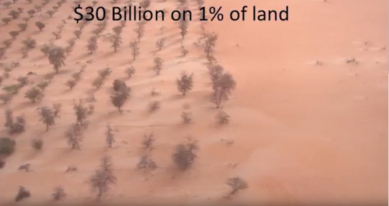Bäume_Wüste_Saudi-Arabien.jpg
