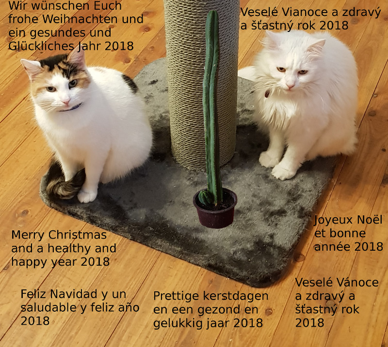 Weihnachten 2018a.jpg