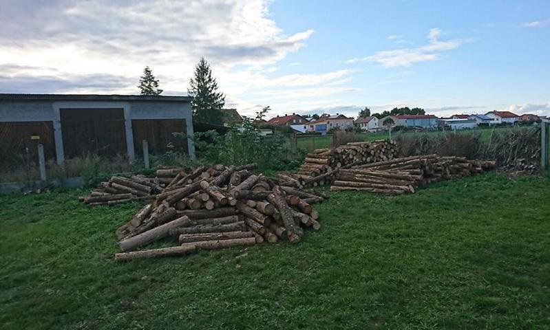 Holz rangeschafft