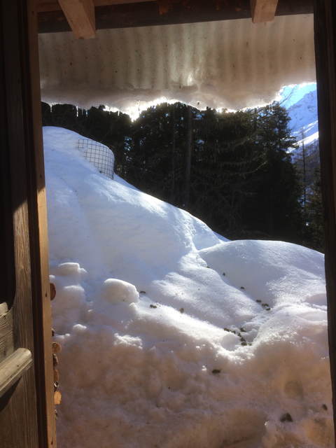 Blick aus Eingagstüre nach draussen