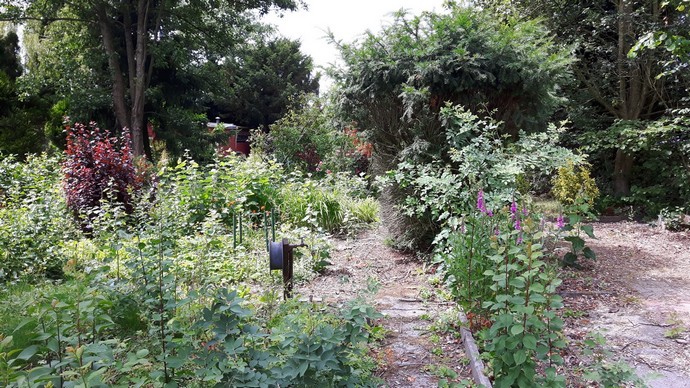 Ein 20 Jahre verwilderter Garten