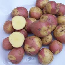Marzipankartoffeln.jpg