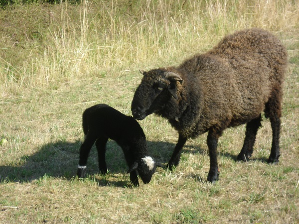 Mutter mit Sohn.jpg