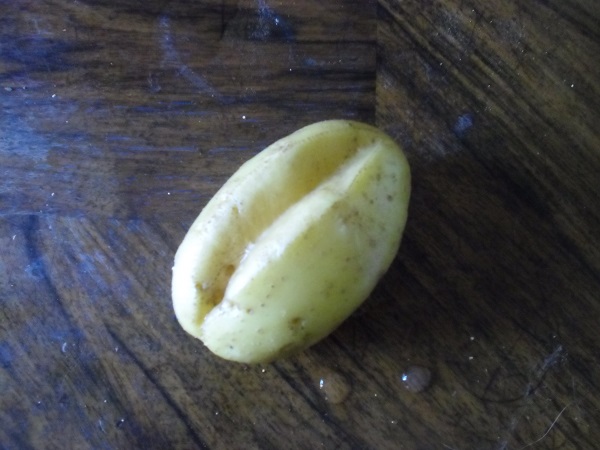 Brötchenkartoffel.jpg