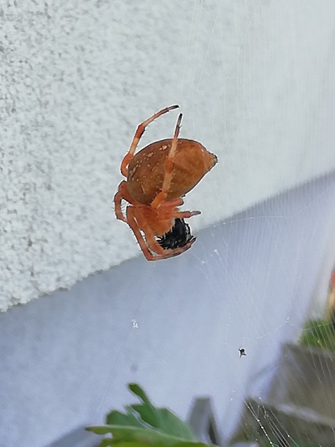 IMG_20180819_103705.jpg