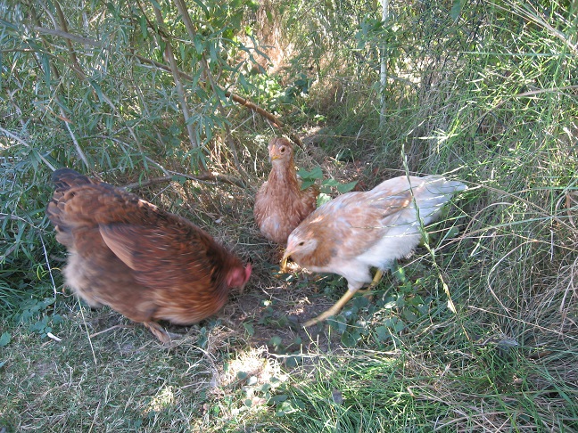Mama mit beiden.jpg