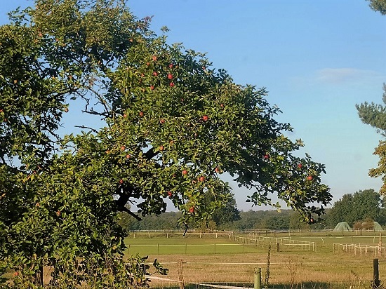 P1040111m.jpg