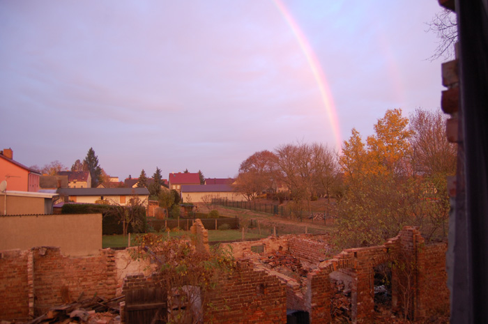 2018 11 11 Sonnenaufgang Annaburg.jpg