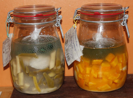 Fermentierte-Bohnen-und-Hokkaido-Kürbis.jpg