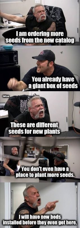 seeds.jpg