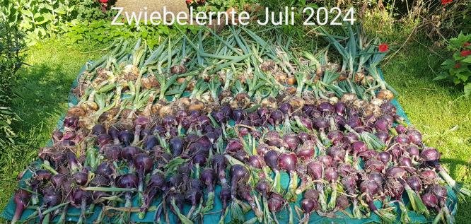 Ernte7.jpeg
